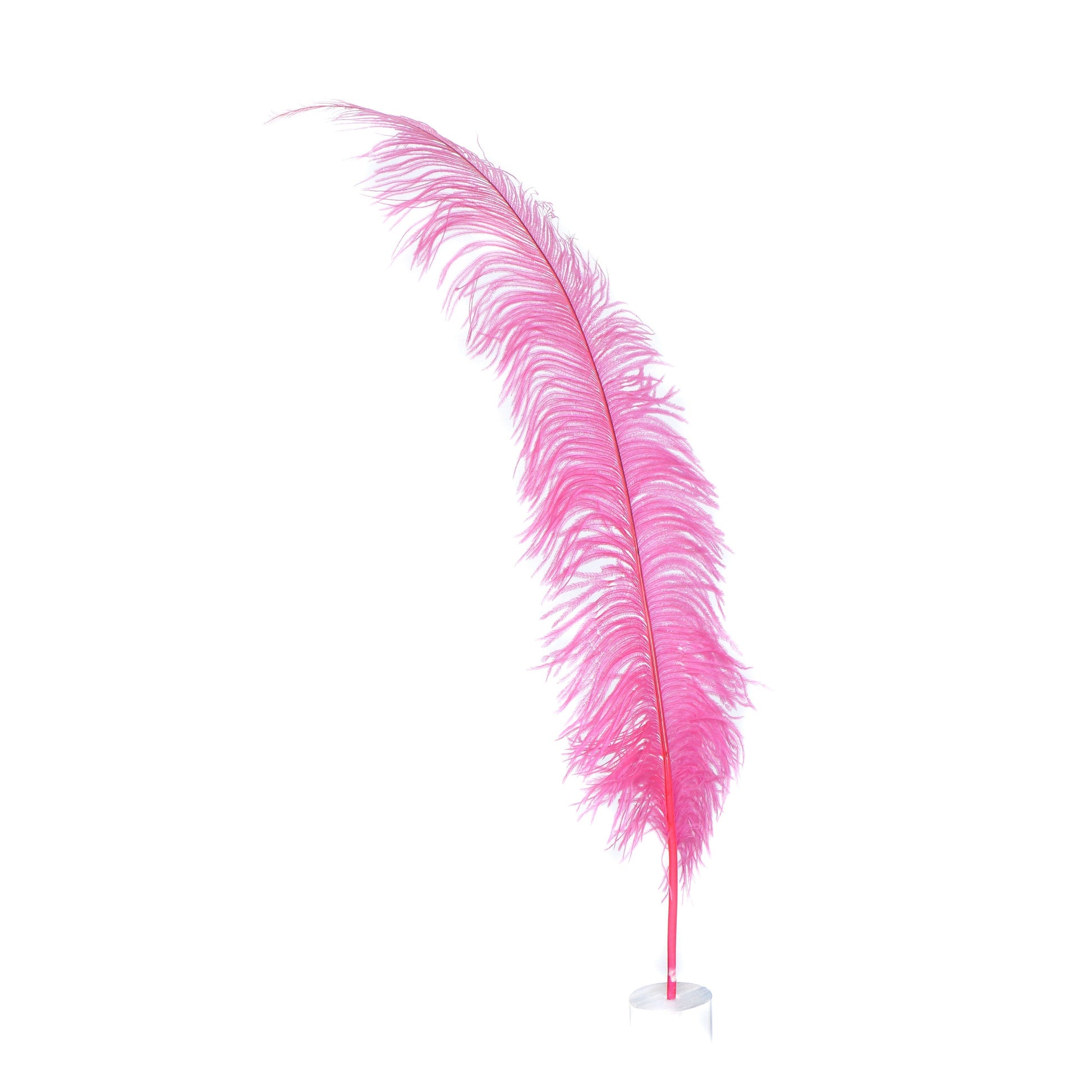 Large Ostrich Feathers - 18-24’’ Spads - Pink Orient - 1 piece - Ostrich Feathers