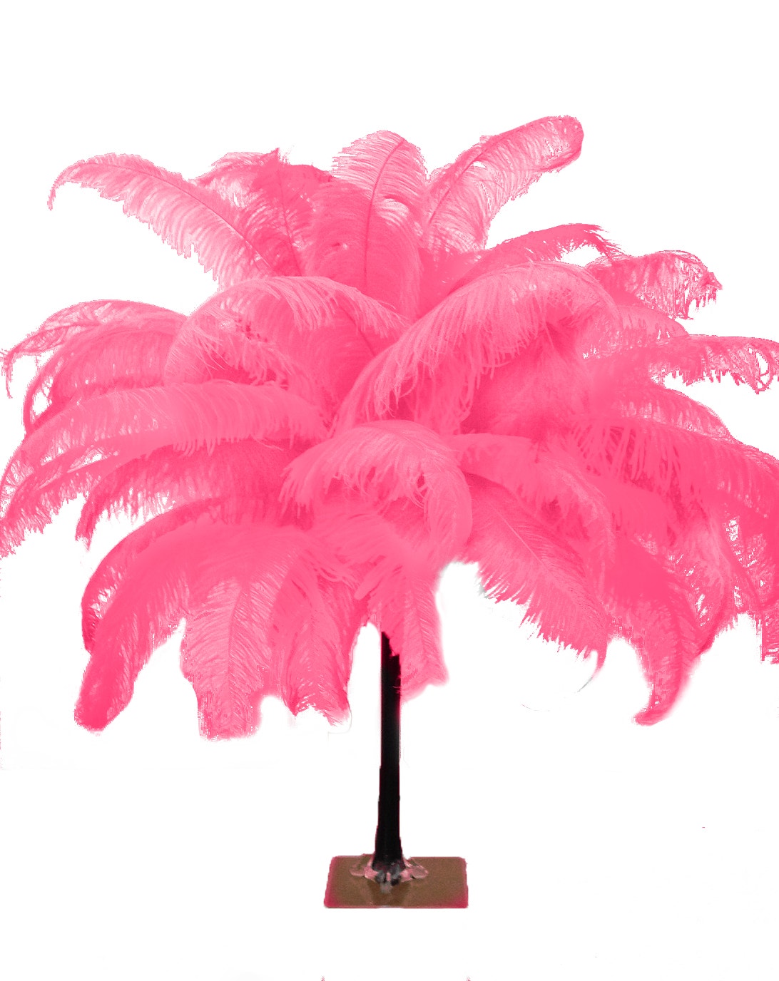 Large Ostrich Feathers - 18-24’’ Spads - Pink Orient - Ostrich Feathers