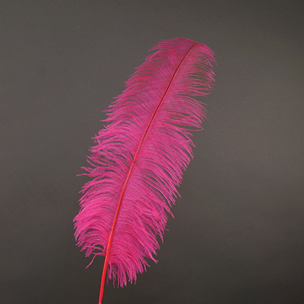 Large Ostrich Feathers - 18-24’’ Spads - Pink Orient - Ostrich Feathers