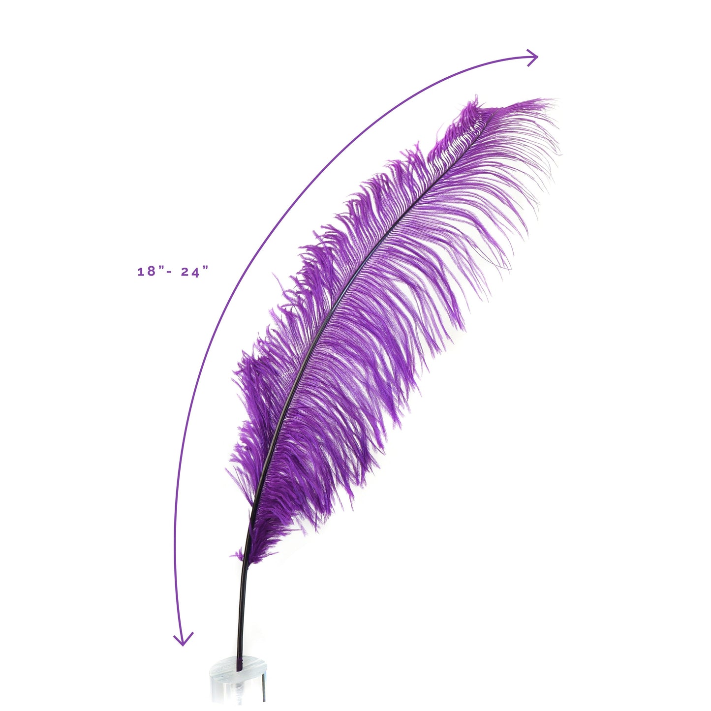 Large Ostrich Feathers - 18-24’’ Spads - Purple - Ostrich Feathers