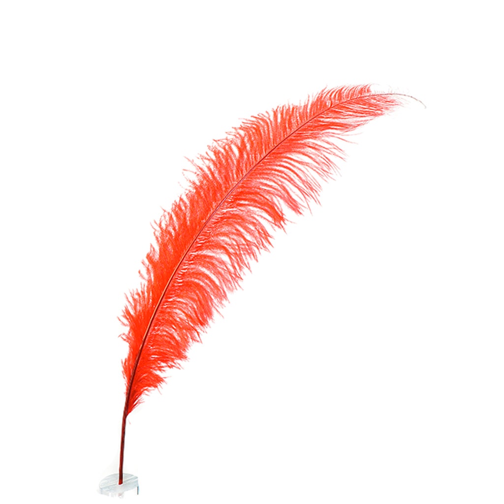 Large Ostrich Feathers - 18-24’’ Spads - Red - 1 piece - Ostrich Feathers