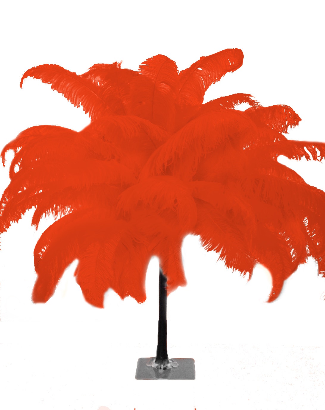 Large Ostrich Feathers - 18-24’’ Spads - Red - Ostrich Feathers