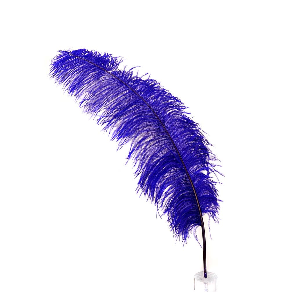 Large Ostrich Feathers - 18-24’’ Spads - Regal - 1 piece - Ostrich Feathers