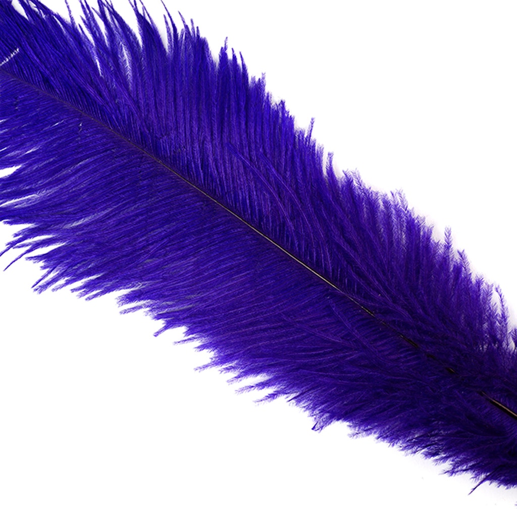 Large Ostrich Feathers - 18-24’’ Spads - Regal - 12 pieces - Ostrich Feathers