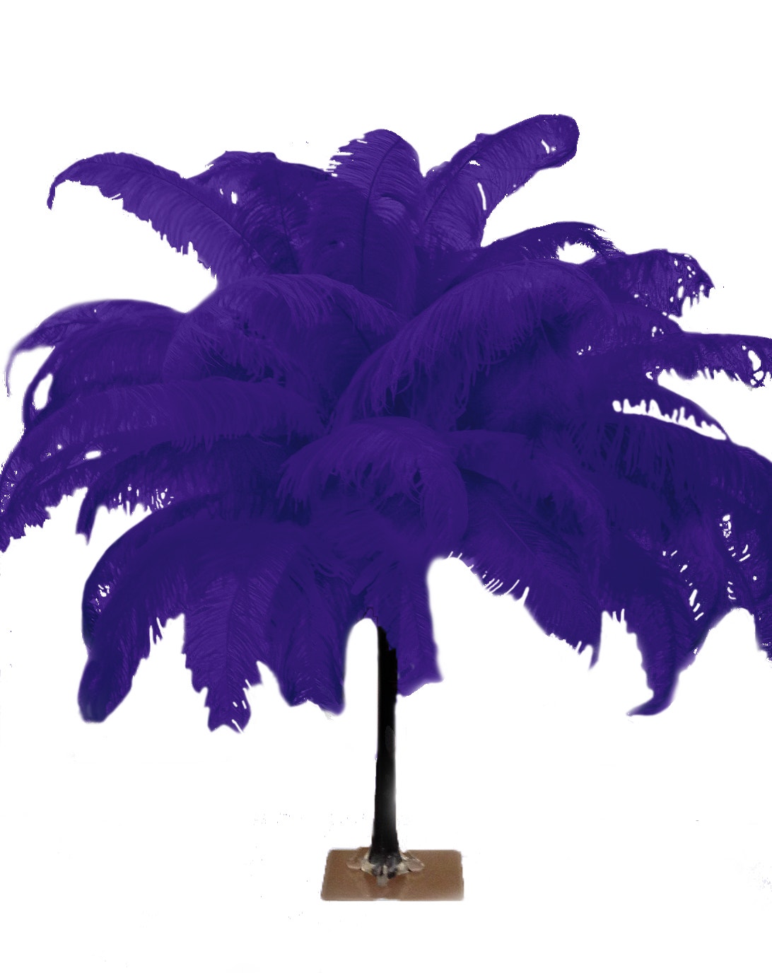 Large Ostrich Feathers - 18-24’’ Spads - Regal - Ostrich Feathers