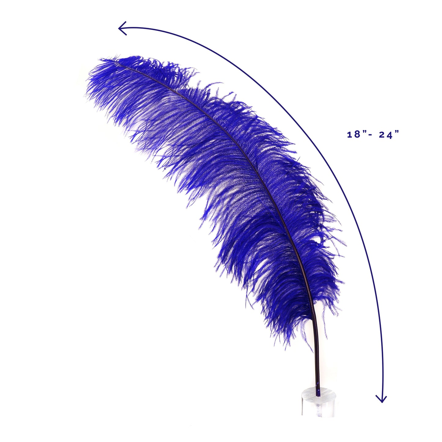 Large Ostrich Feathers - 18-24’’ Spads - Regal - Ostrich Feathers