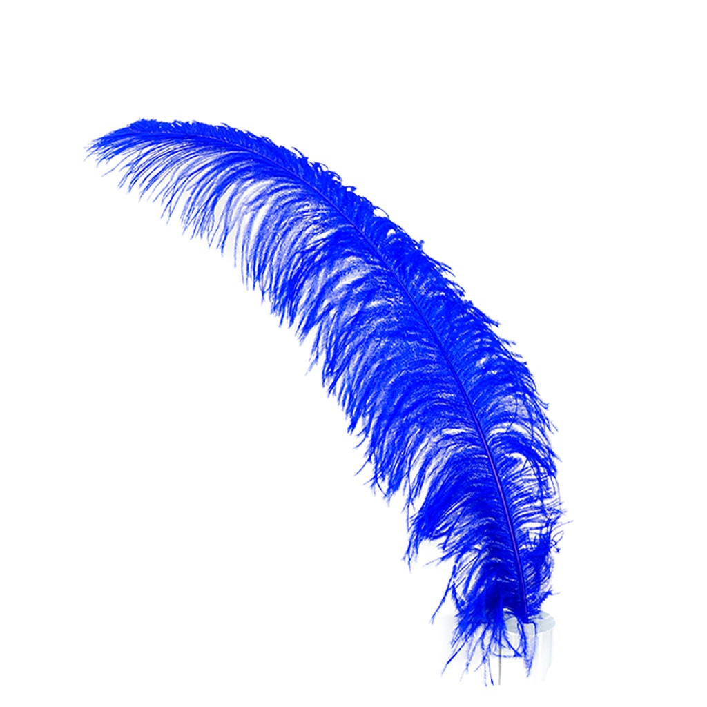 Large Ostrich Feathers - 18-24’’ Spads - Royal - 1 piece - Ostrich Feathers