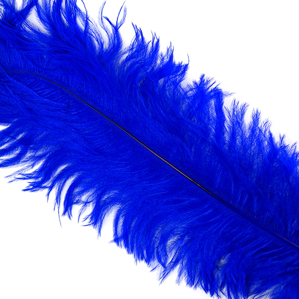 Large Ostrich Feathers - 18-24’’ Spads - Royal - 12 pieces - Ostrich Feathers