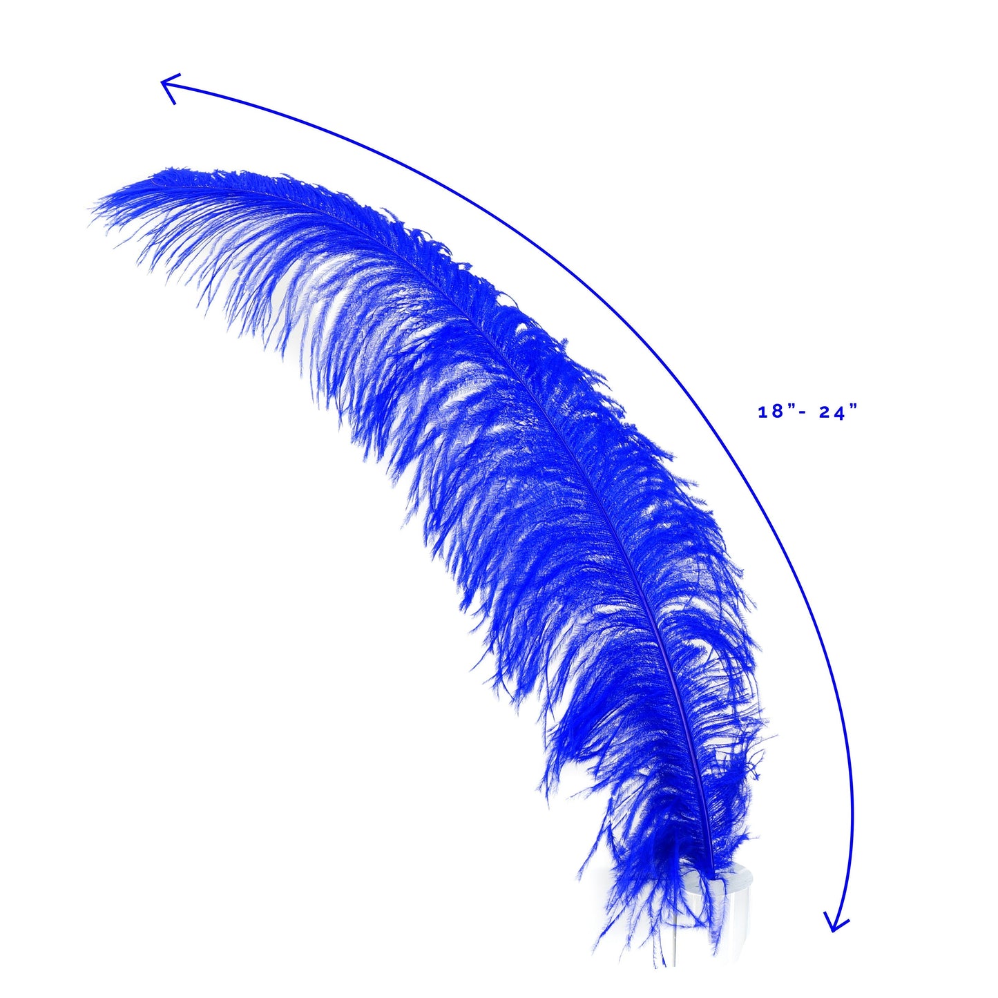 Large Ostrich Feathers - 18-24’’ Spads - Royal - Ostrich Feathers