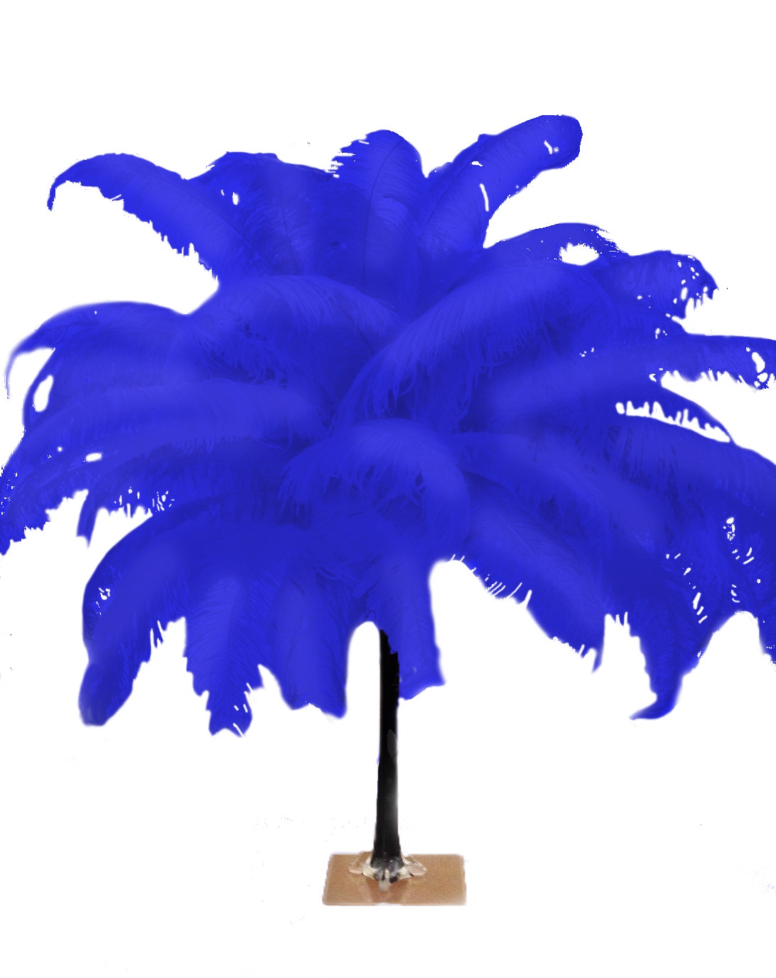 Large Ostrich Feathers - 18-24’’ Spads - Royal - Ostrich Feathers