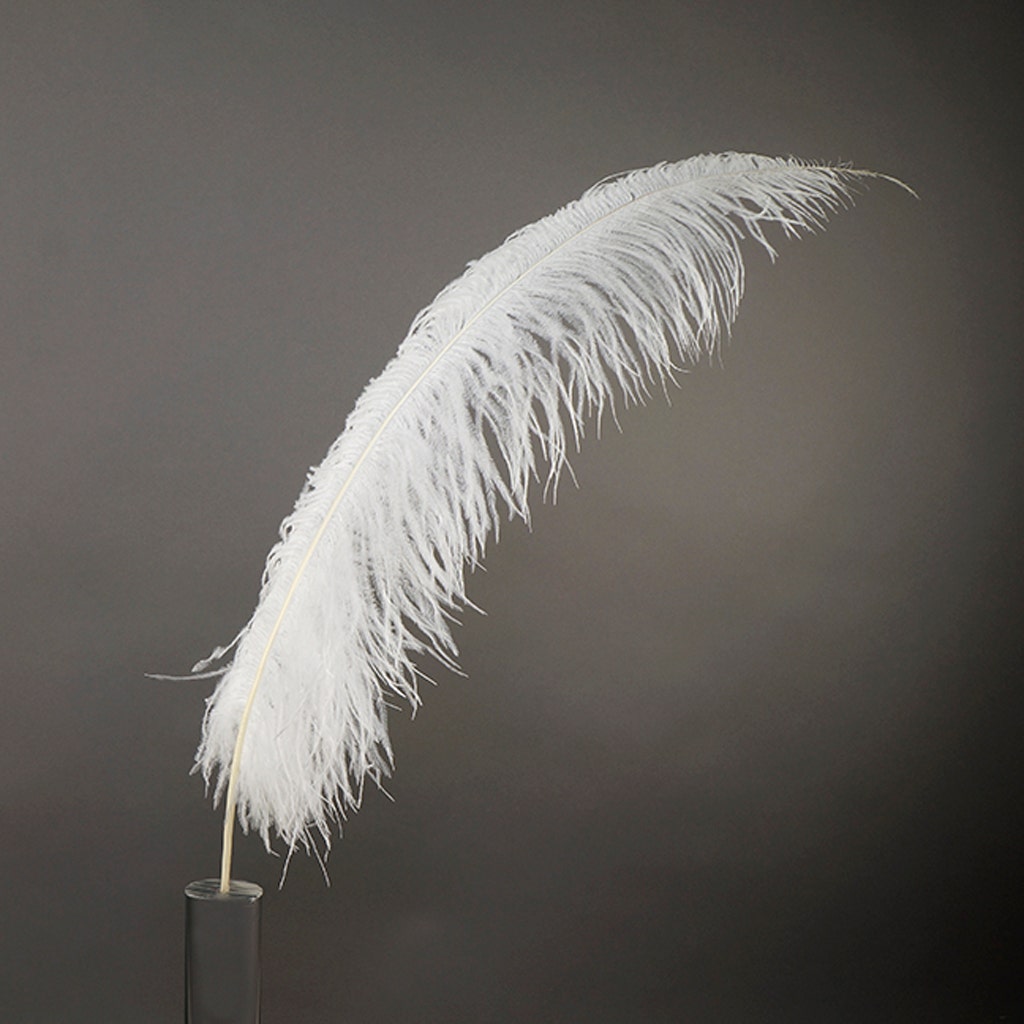 Large Ostrich Feathers - 18-24’’ Spads - White - 1 piece - Ostrich Feathers