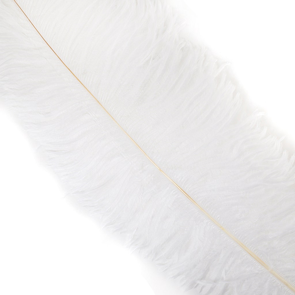 Large Ostrich Feathers - 18-24’’ Spads - White - Ostrich Feathers