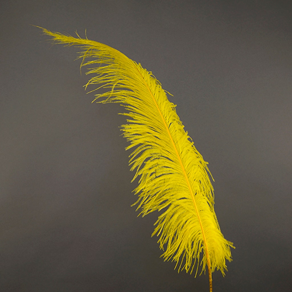 Large Ostrich Feathers - 18-24’’ Spads - Yellow - 1 piece - Ostrich Feathers