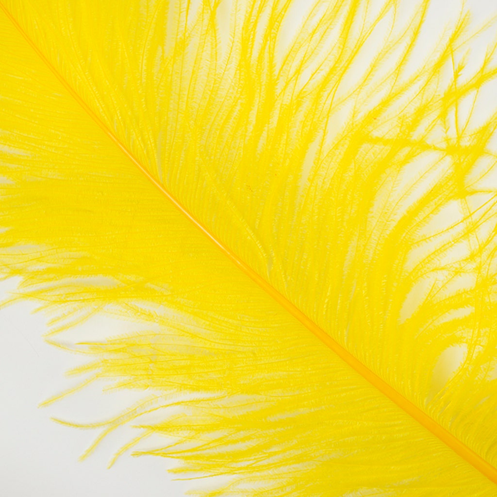 Large Ostrich Feathers - 18-24’’ Spads - Yellow - 12 pieces - Ostrich Feathers