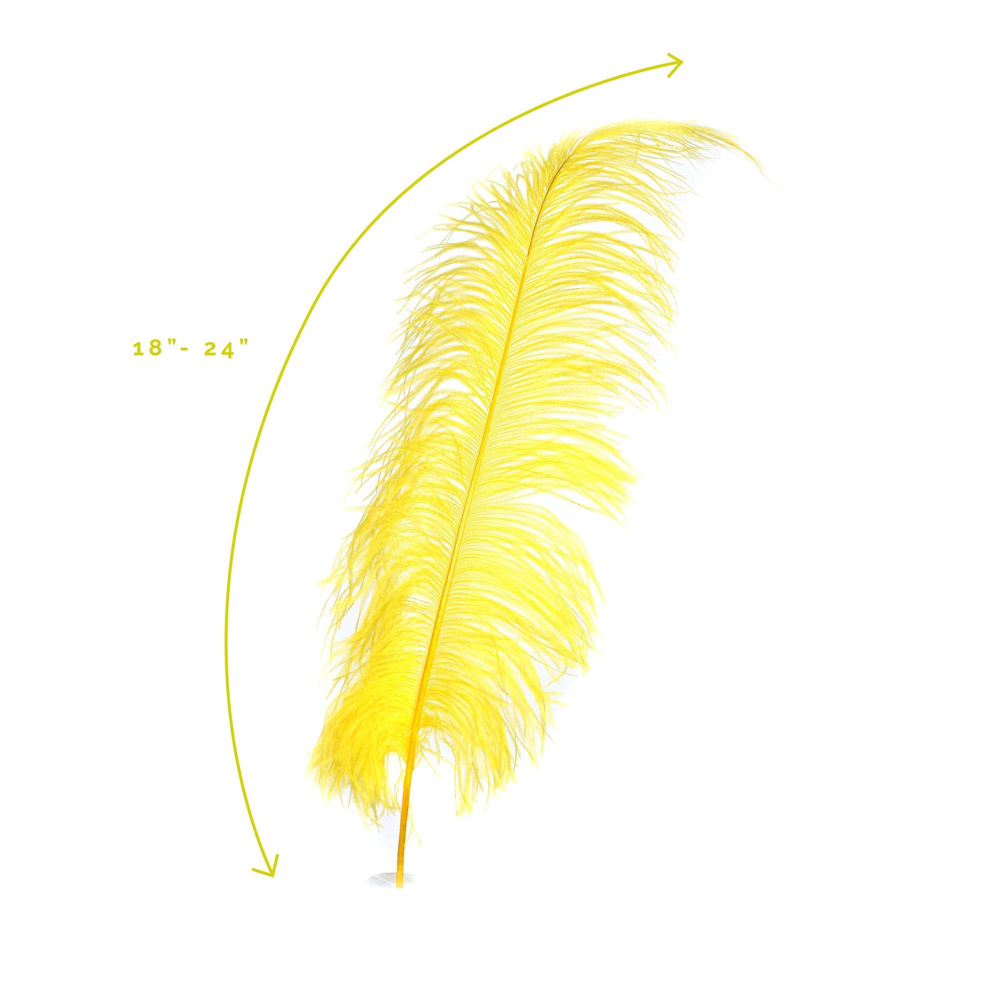 Large Ostrich Feathers - 18-24’’ Spads - Yellow - Ostrich Feathers