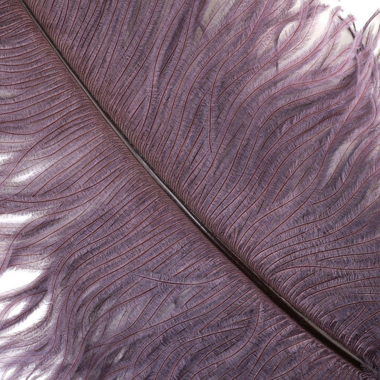 Large Ostrich Feathers - 20-25’’ Prime Femina Plumes - Amethyst - 6 pieces - Ostrich Feathers