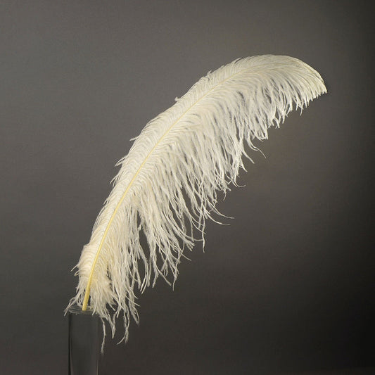 Large Ostrich Feathers - 20-25’’ Prime Femina Plumes - Beige - 1 piece - Ostrich Feathers