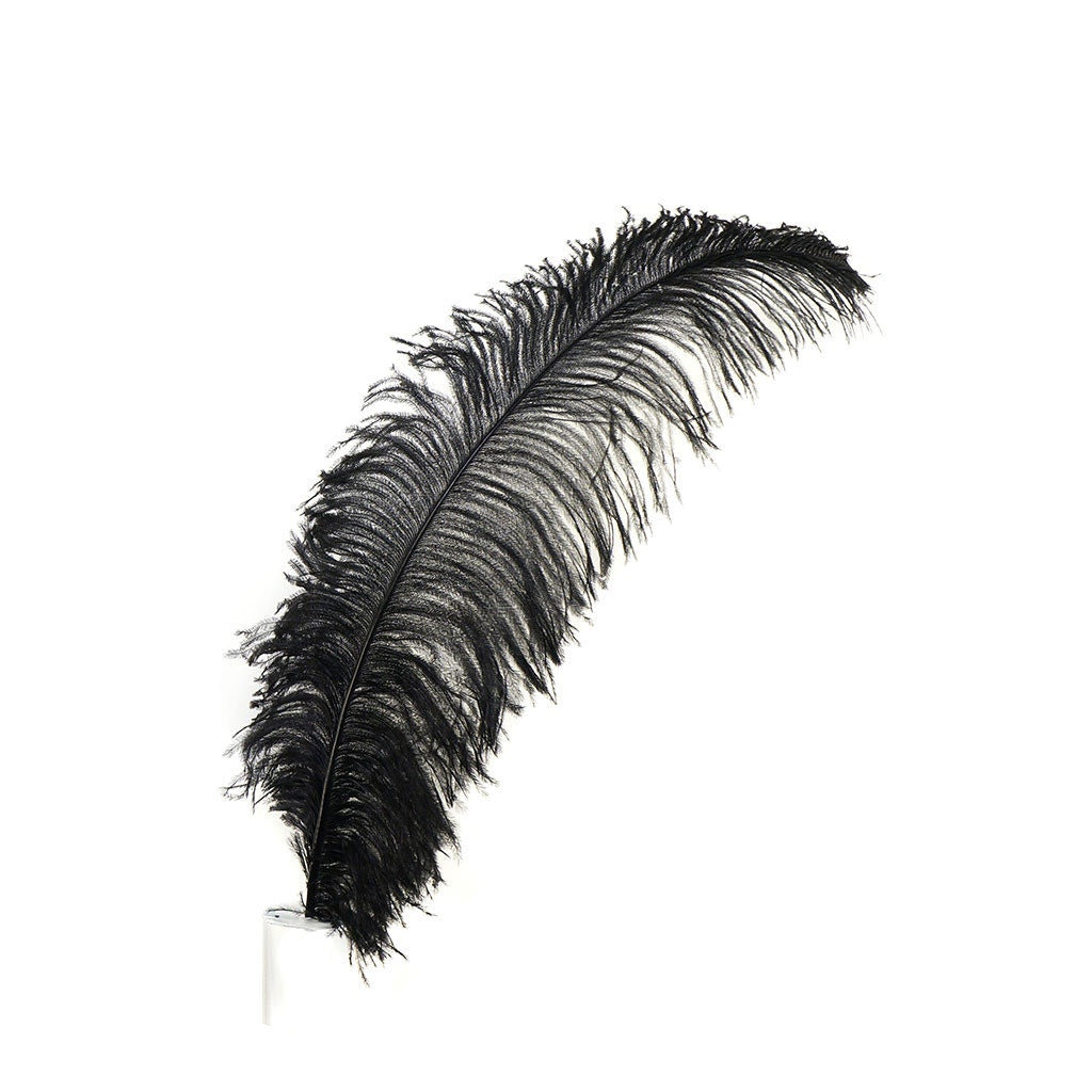 Large Ostrich Feathers - 20-25’’ Prime Femina Plumes - Black - 1 piece - Ostrich Feathers