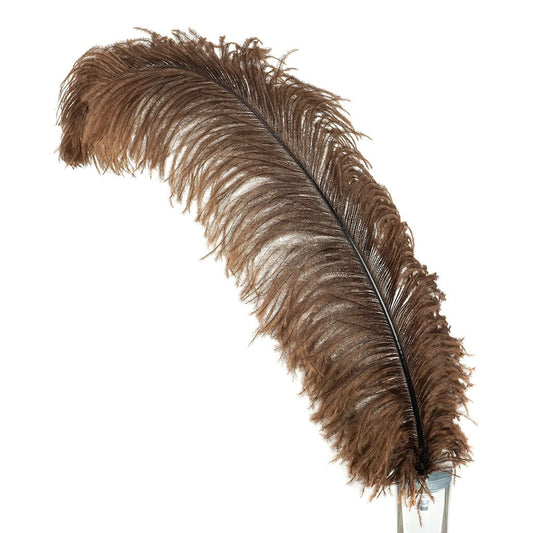Large Ostrich Feathers - 20-25’’ Prime Femina Plumes - Brown - 1 piece - Ostrich Feathers