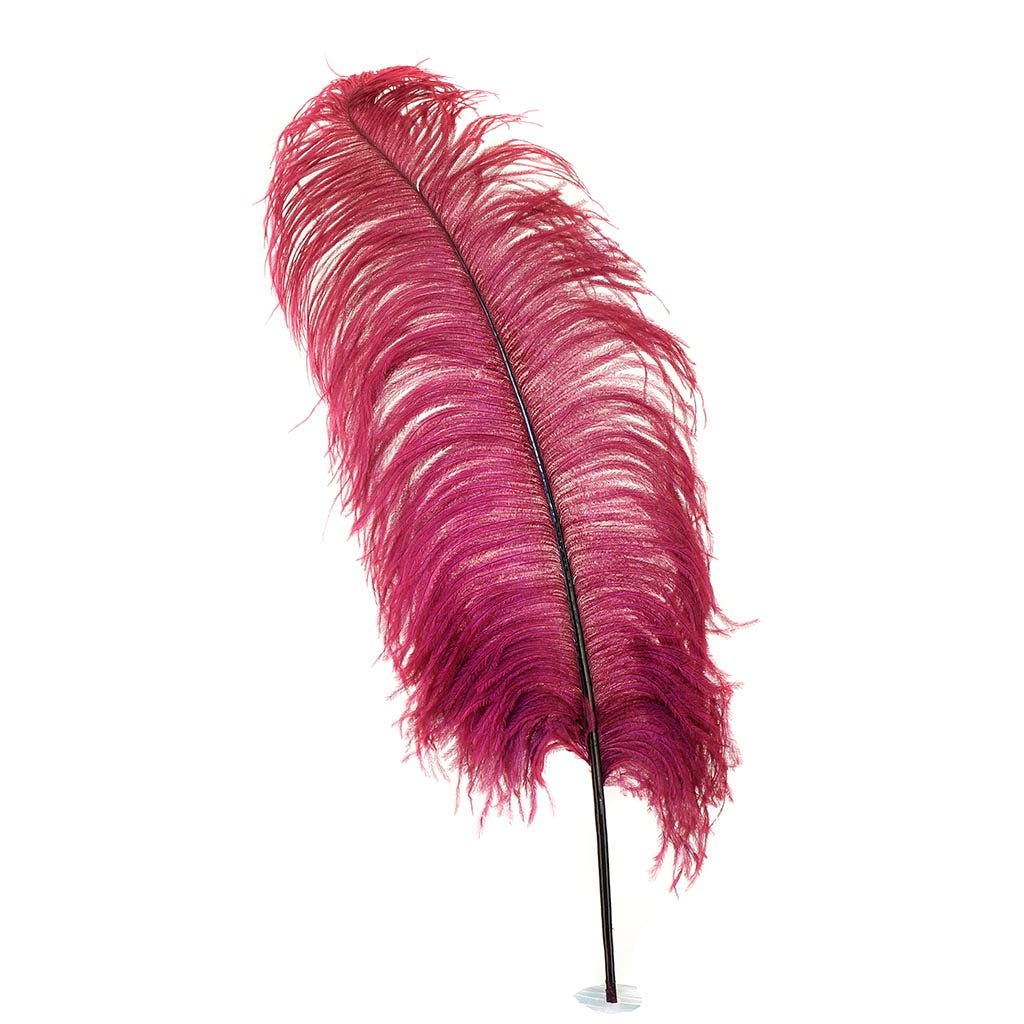 Large Ostrich Feathers - 20-25’’ Prime Femina Plumes - Burgundy - 1 piece - Ostrich Feathers