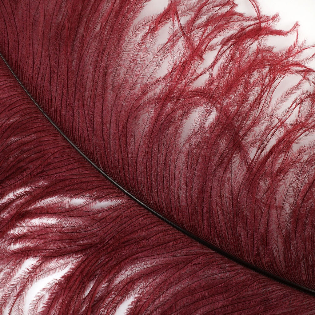 Large Ostrich Feathers - 20-25’’ Prime Femina Plumes - Burgundy - Ostrich Feathers