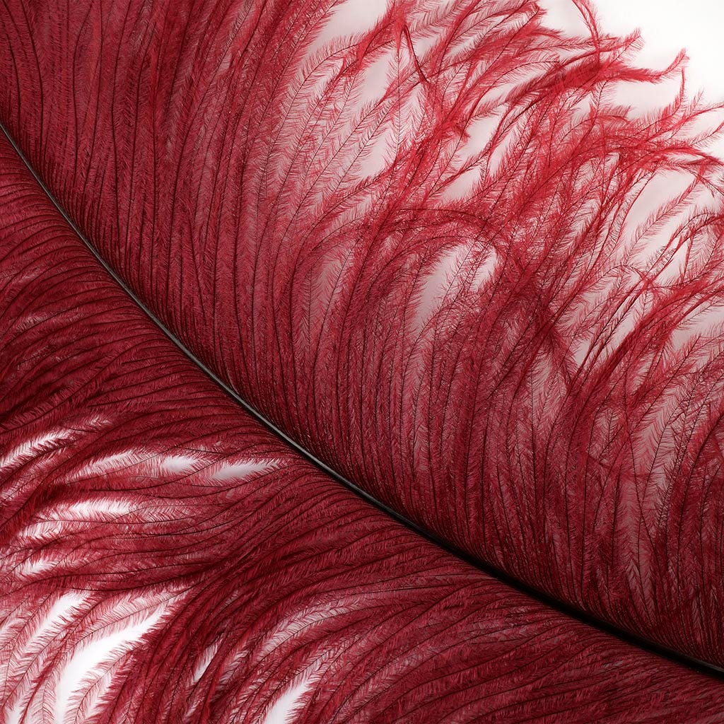 Large Ostrich Feathers - 20-25’’ Prime Femina Plumes - Burgundy - 6 pieces - Ostrich Feathers