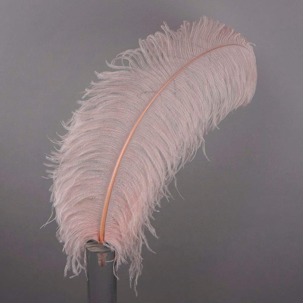 Large Ostrich Feathers - 20-25’’ Prime Femina Plumes - Champagne - 1 piece - Ostrich Feathers