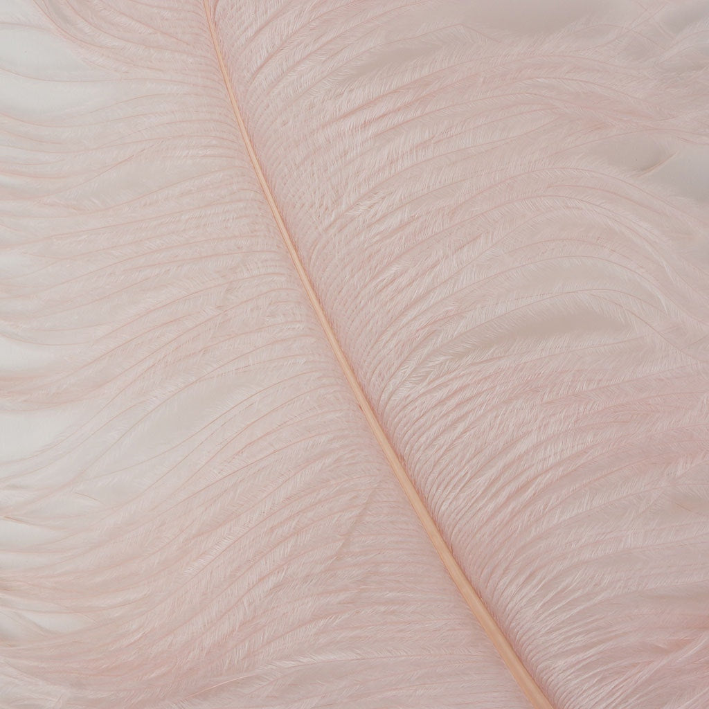 Large Ostrich Feathers - 20-25’’ Prime Femina Plumes - Champagne - 25 pieces - Ostrich Feathers