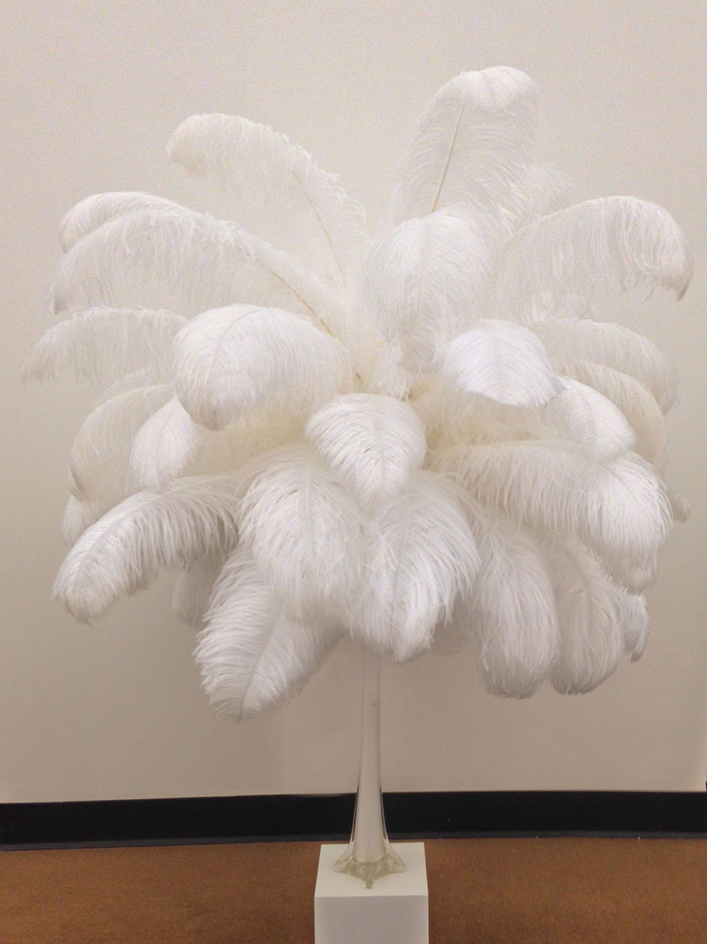 Large Ostrich Feathers - 20-25’’ Prime Femina Plumes - Champagne - Ostrich Feathers