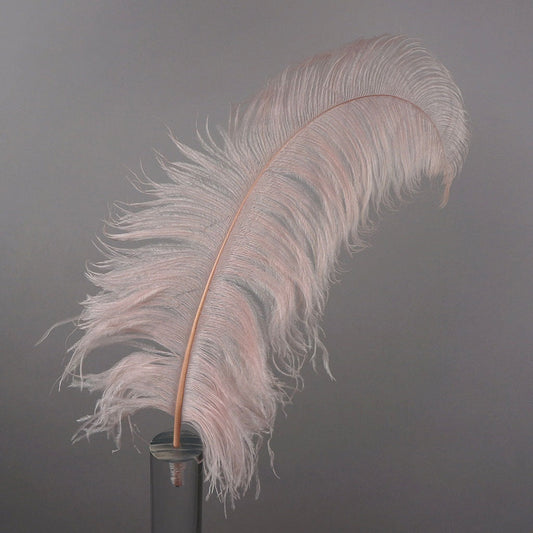 Large Ostrich Feathers - 20-25’’ Prime Femina Plumes - Champagne - Ostrich Feathers