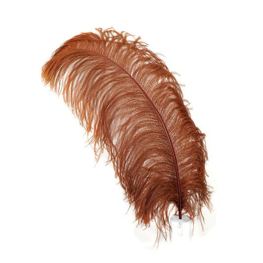 Large Ostrich Feathers - 20-25’’ Prime Femina Plumes - Copper - 1 piece - Ostrich Feathers