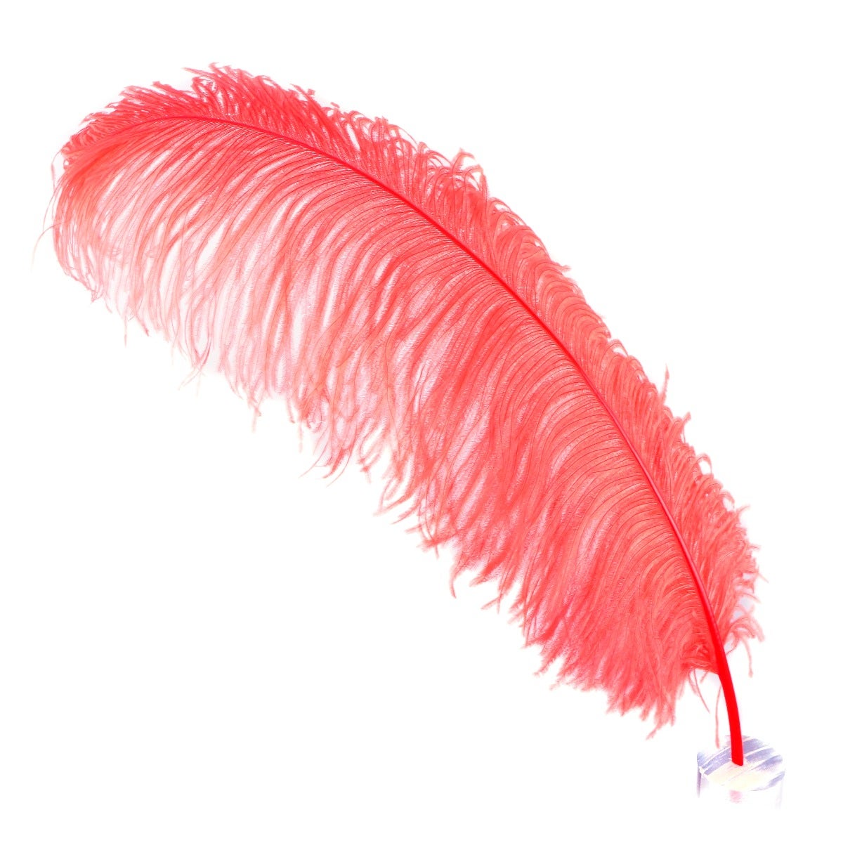 Large Ostrich Feathers - 20-25’’ Prime Femina Plumes - Coral - 1 piece - Ostrich Feathers