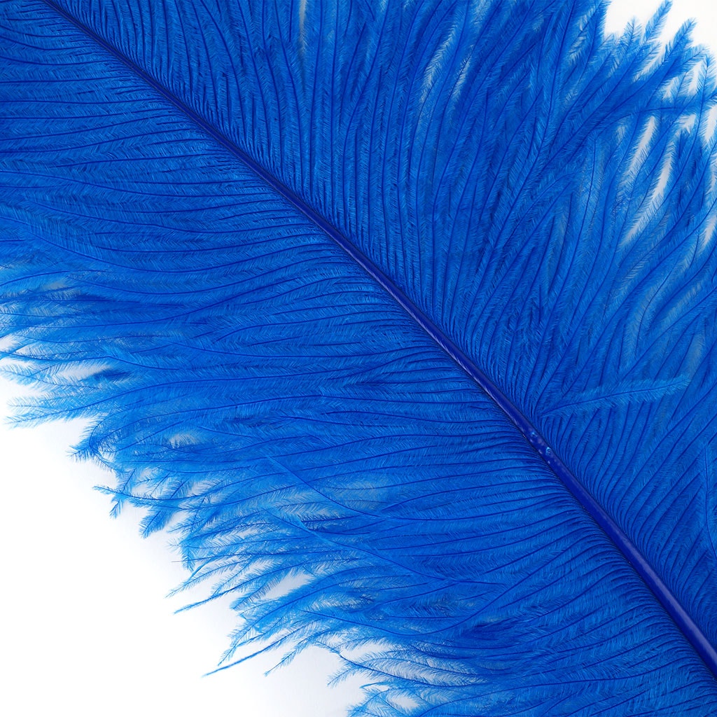 Large Ostrich Feathers - 20-25’’ Prime Femina Plumes - Dark Turquoise - 25 pieces - Ostrich Feathers