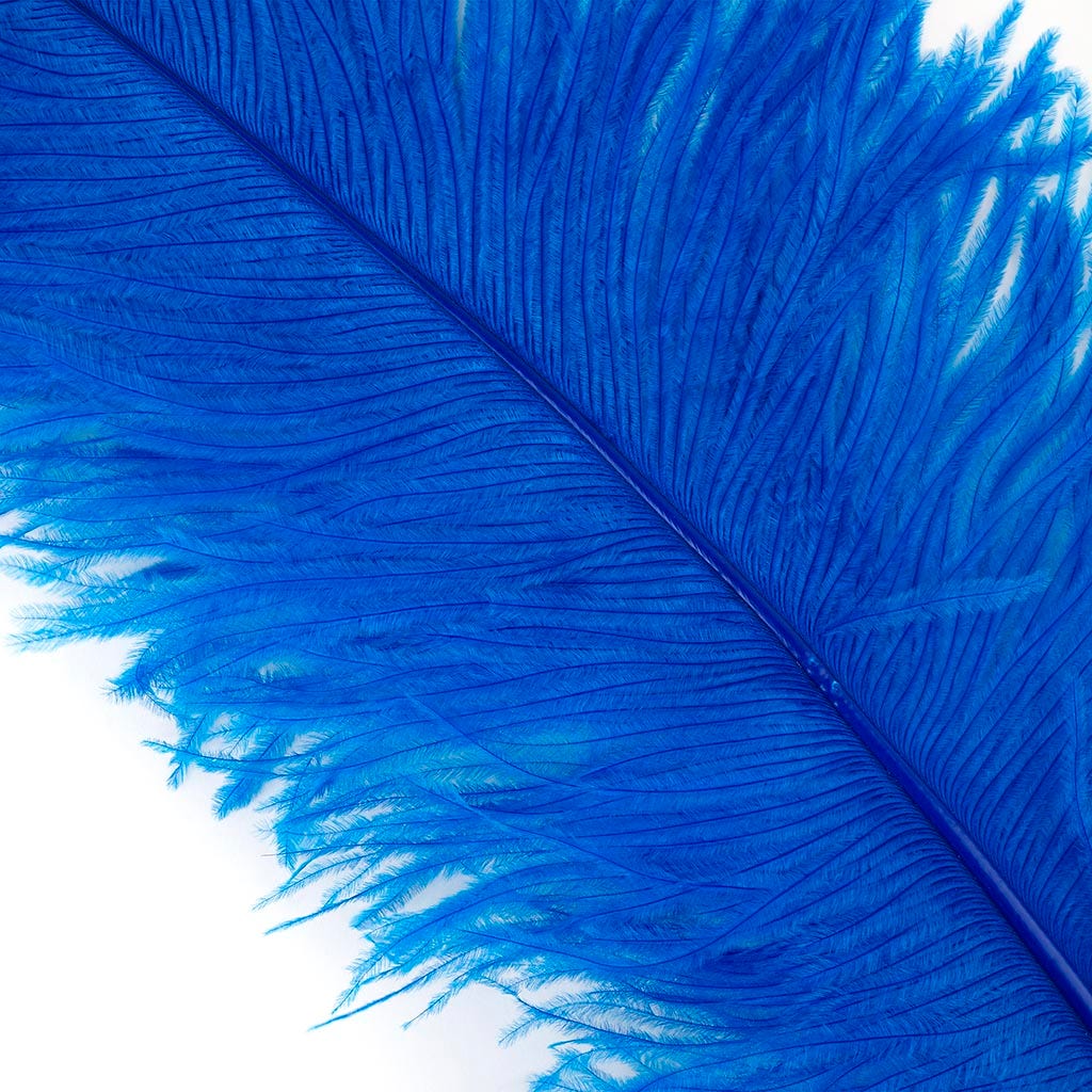 Large Ostrich Feathers - 20-25’’ Prime Femina Plumes - Dark Turquoise - 6 pieces - Ostrich Feathers