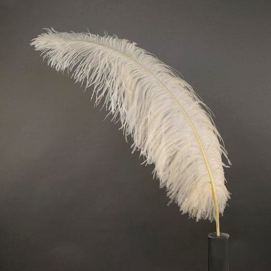 Large Ostrich Feathers - 20-25’’ Prime Femina Plumes - Ivory - Ostrich Feathers