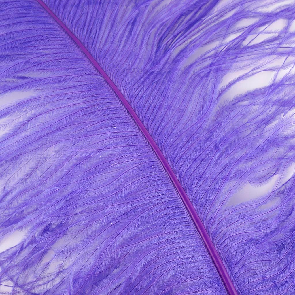 Large Ostrich Feathers - 20-25’’ Prime Femina Plumes - Lavender - Ostrich Feathers