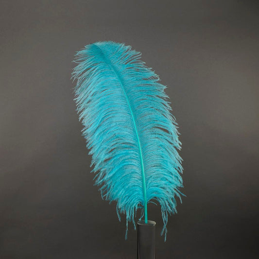 Large Ostrich Feathers - 20-25’’ Prime Femina Plumes - Light Turquoise - Ostrich Feathers