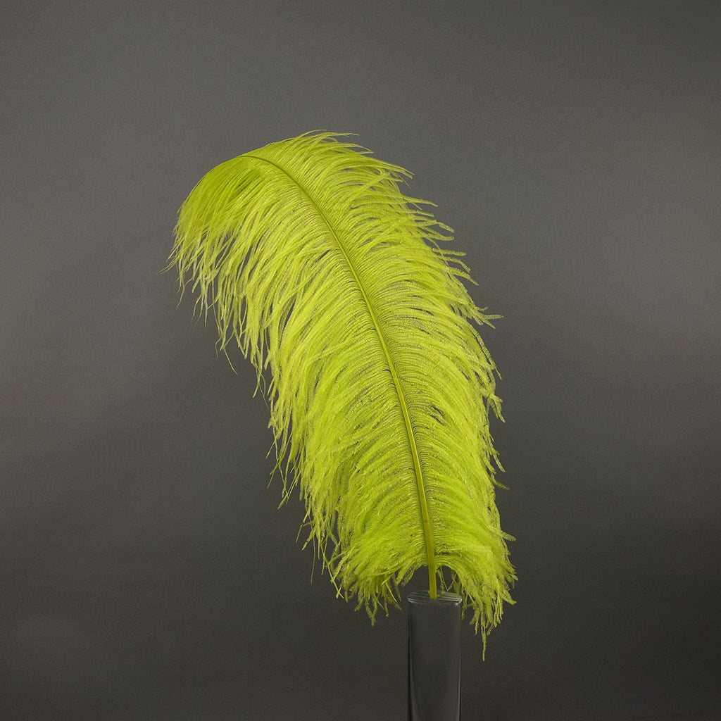 Large Ostrich Feathers - 20-25’’ Prime Femina Plumes - Lime - 1 piece - Ostrich Feathers