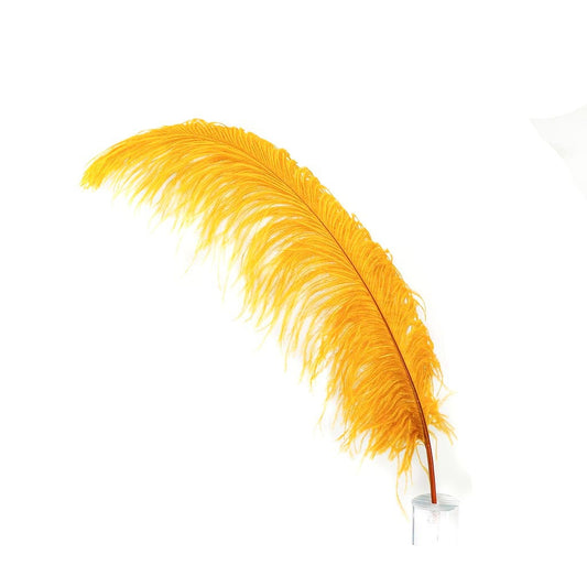 Large Ostrich Feathers - 20-25’’ Prime Femina Plumes - Marigold - Ostrich Feathers