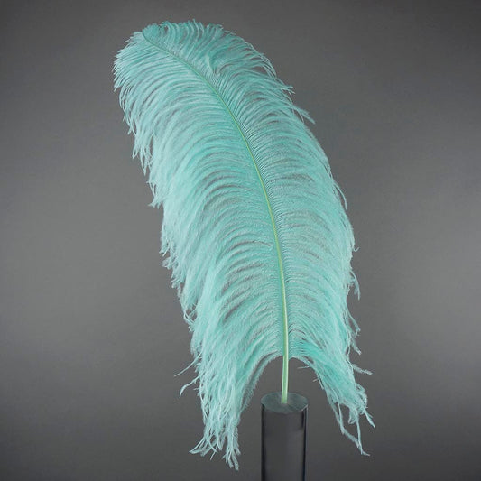 Large Ostrich Feathers - 20-25’’ Prime Femina Plumes - Mint - Ostrich Feathers