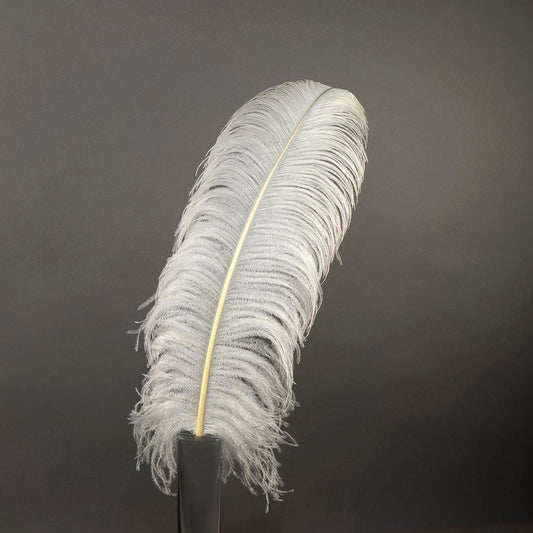 Large Ostrich Feathers - 20-25’’ Prime Femina Plumes - Natural - Ostrich Feathers