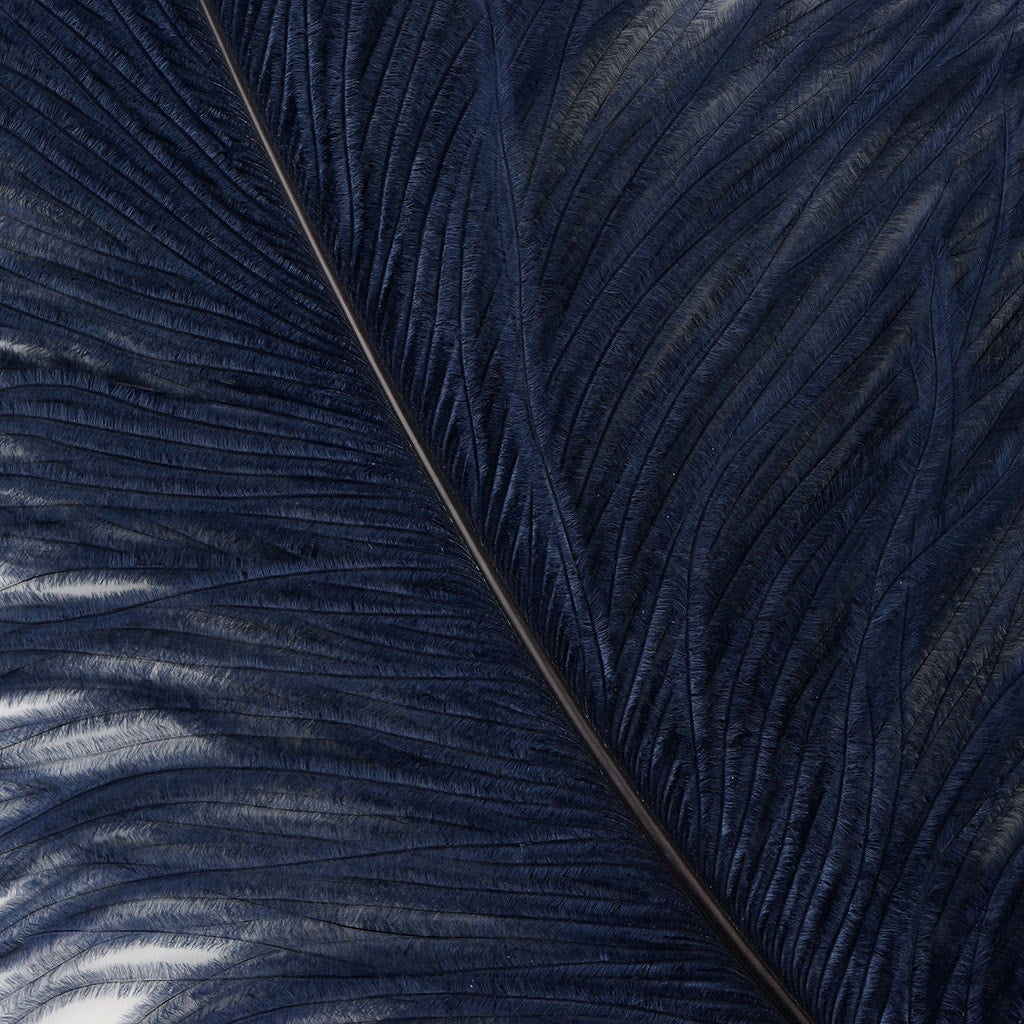 Large Ostrich Feathers - 20-25’’ Prime Femina Plumes - Navy - 6 pieces - Ostrich Feathers