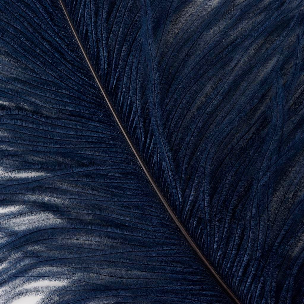 Large Ostrich Feathers - 20-25’’ Prime Femina Plumes - Navy - Ostrich Feathers