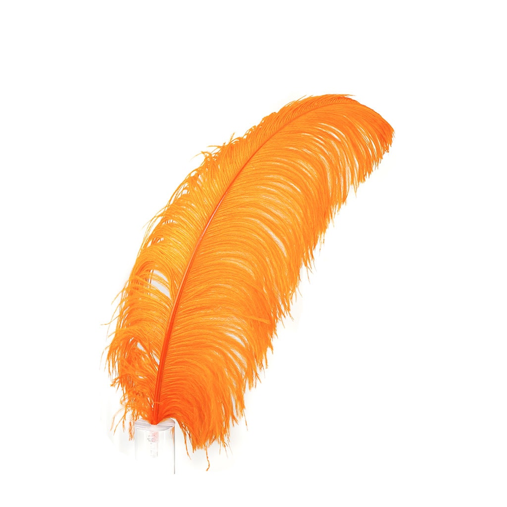 Large Ostrich Feathers - 20-25’’ Prime Femina Plumes - Orange - 1 piece - Ostrich Feathers