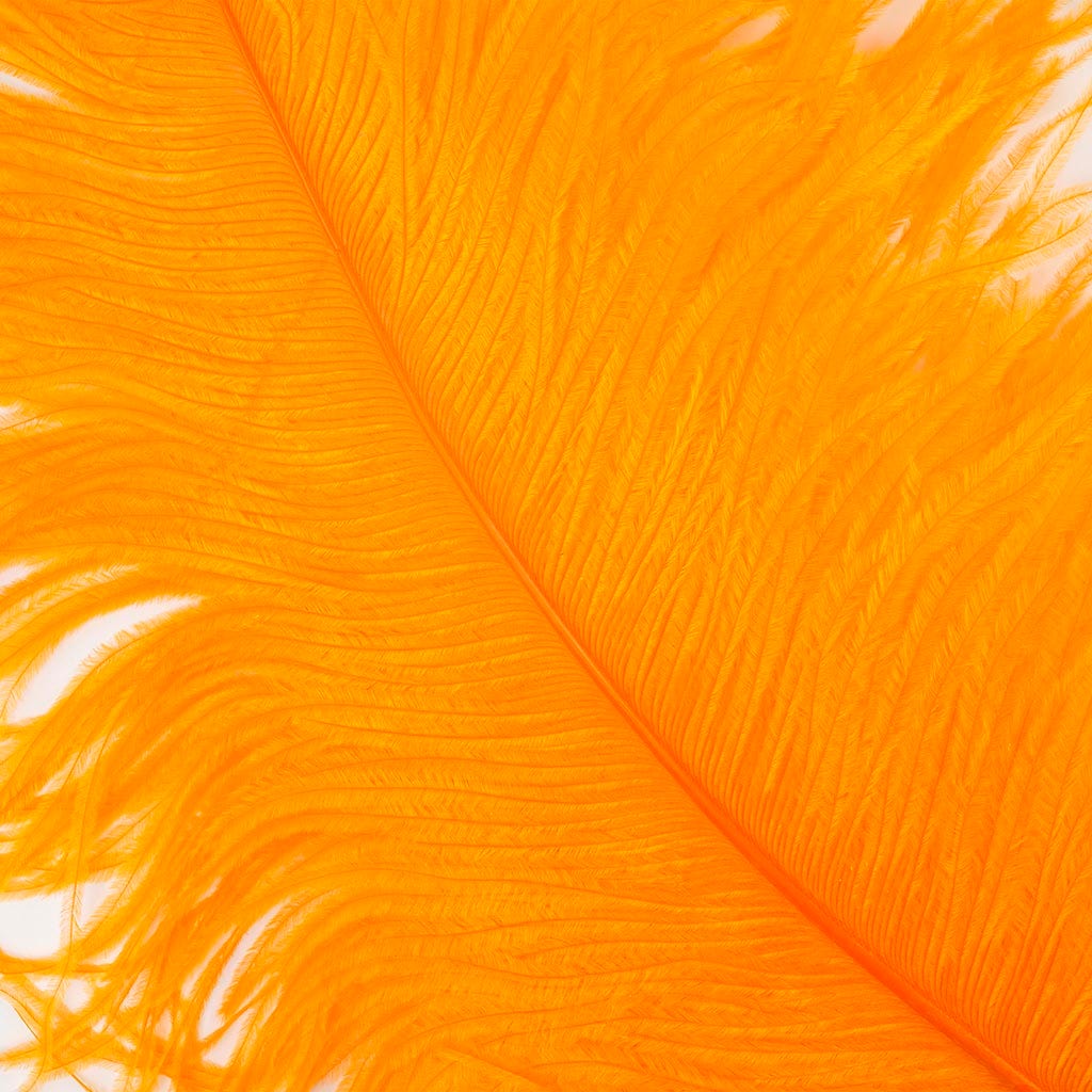 Large Ostrich Feathers - 20-25’’ Prime Femina Plumes - Orange - Ostrich Feathers