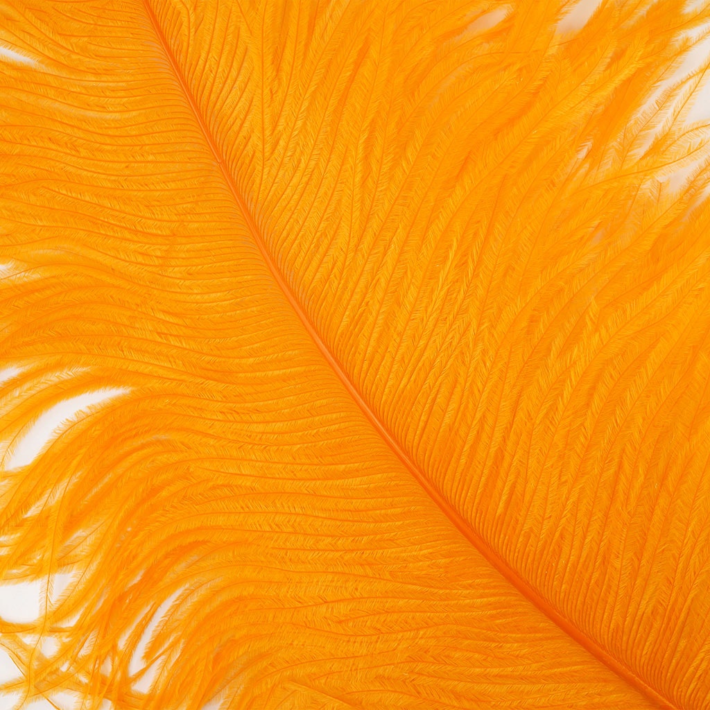 Large Ostrich Feathers - 20-25’’ Prime Femina Plumes - Orange - 6 pieces - Ostrich Feathers