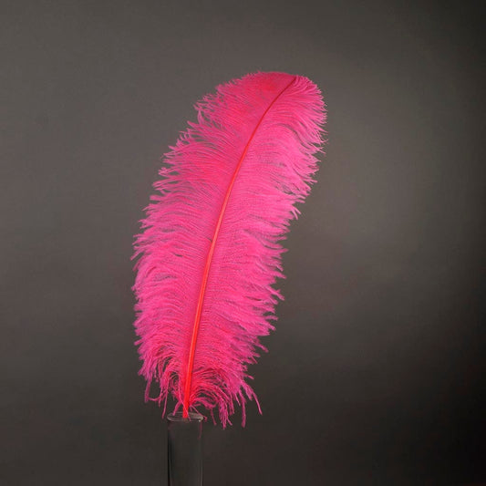 Large Ostrich Feathers - 20-25’’ Prime Femina Plumes - Pink Orient - Ostrich Feathers