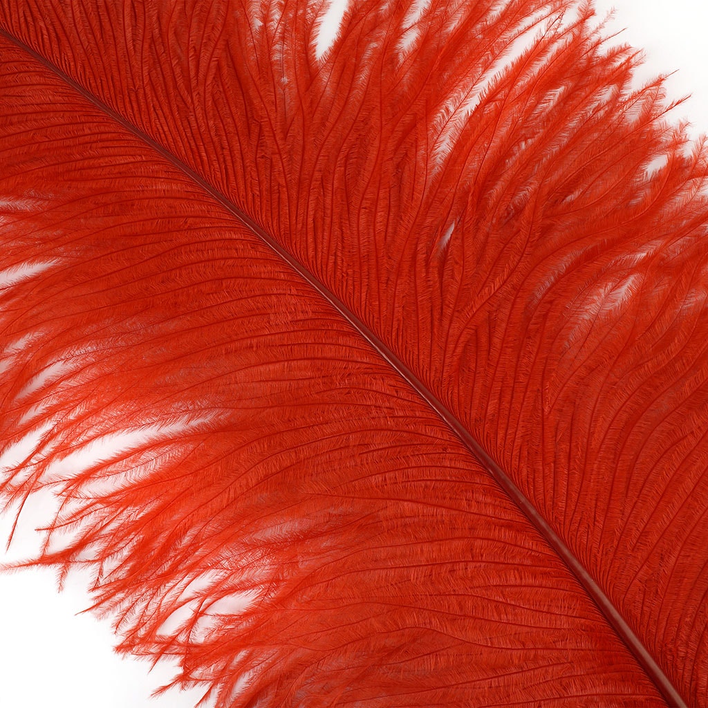 Large Ostrich Feathers - 20-25’’ Prime Femina Plumes - Red - 6 pieces - Ostrich Feathers