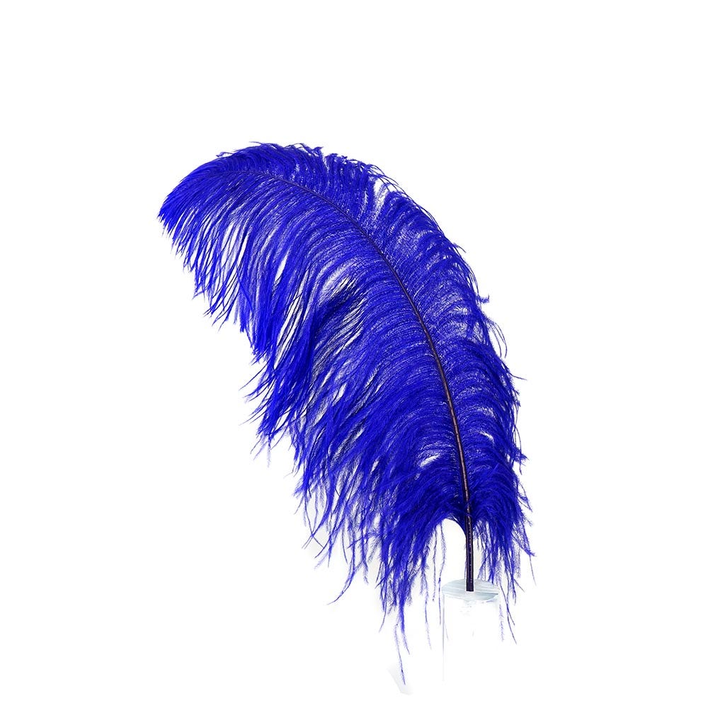 Large Ostrich Feathers - 20-25’’ Prime Femina Plumes - Regal - 1 piece - Ostrich Feathers