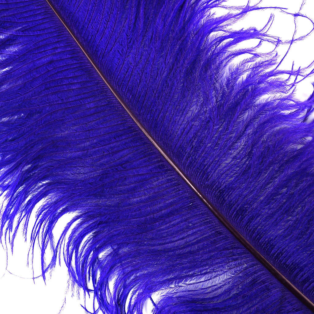 Large Ostrich Feathers - 20-25’’ Prime Femina Plumes - Regal - 25 pieces - Ostrich Feathers